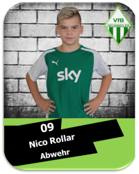 Nico Rollar.png